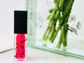 Nourishing Lip Oil - Beloved